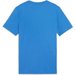 Koszulka juniorska TeamGOAL Casuals Tee Puma - Ignite Blue