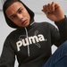 Bluza męska Team Graphic Hoodie Puma