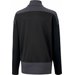 Bluza juniorska teamGOAL 23 Training 1/4 Zip Puma - czarny