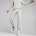 Spodnie dresowe damskie Ess Elevated Pants Puma - szare