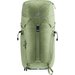 Plecak Trail 24L Deuter - grove-ivy