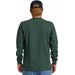 Longsleeve męski Bio Hazard Quiksilver - Forest