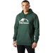 Bluza męska Nord Graphic Pull Over Hoodie Helly Hansen - jungle green
