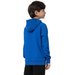 Bluza chłopięca 4FJSS23TSWSM220 4F - niebieska