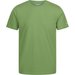 Koszulka męska Tait Regatta - Piquant Green
