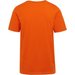 Koszulka męska Cline VIII Regatta - Rusty Orange
