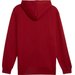 Bluza męska Power Graphic Hoodie FL Puma - Intense Red