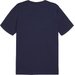 Koszulka męska teamGoal Casuals Tee Sport Puma - Navy-White