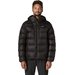 Kurtka męska Fitz Roy Down Hoody Patagonia - black