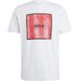 Koszulka męska Tiro Box Graphic Adidas - jasnoszara
