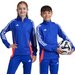 Bluza juniorska Tiro 24 Training Top Adidas - Lucid Blue/White/App Solar Red