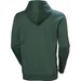 Bluza męska Nord Graphic Pull Over Hoodie Helly Hansen - jungle green