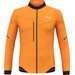 Kurtka męska Pedroc Polarlite 2 Salewa - turmeric