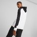 Bluza męska Ess BlockxTape Hoodie Puma - black