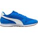 Buty ST Miler Puma - Team Royal/White Gum