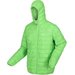 Kurtka męska Hooded Hillpack Regatta - jasmine green