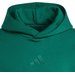 Bluza męska All SZN Fleece Adidas - zielony