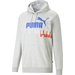 Bluza męska Essentials+ Logo Power Hoodie Puma - szary