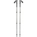Kije trekkingowe Trail Trekking Black Diamond - Pine Smoke