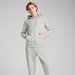 Dres męski Hooded Sweat Suit Puma - Light Gray Heather