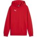 Bluza juniorska TeamGOAL Casuals Hoody Jr Puma - Red