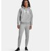 Bluza damska Rival Fleece Big Logo Under Armour - Mod Gray Light Heather/White