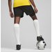 Spodenki męskie Teamgoal 2w1 Puma - Black-White
