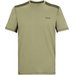 Koszulka męska Virda Regatta - light sage/dark khaki