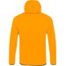 Kurtka męska Agner 2 PTX 3L Salewa - turmeric