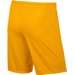 Spodenki męskie Dry Park III NG Knit Nike - ciemny żółty