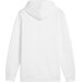 Bluza męska Ess+ Logo Lab Gradient Hoodie FL Puma - biały