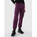 Spodnie dresowe damskie TTROF1013 4F - ciemny fiolet