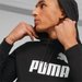 Bluza męska Essentials+ 2 Col Big Logo Hoodie Puma - czarna