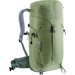 Plecak Trail 24L Deuter - grove-ivy