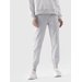 Spodnie dresowe damskie 4FWMM00TTROF0946 4F - chłodny jasny szary melanż