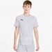 Koszulka męska Goal Jersey Puma - szara