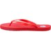 Klapki, japonki Sandy Elemental North Sails - czerwony