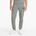 Spodnie dresowe męskie ESS Slim TR Puma - grey