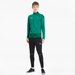 Bluza męska teamGOAL 23 Training 1/4 Zip Top Puma - zielona