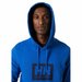 Bluza męska Box Hoodie Helly Hansen - niebieska