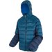 Kurtka puchowa męska Dalent Hooded Regatta - Niebieski