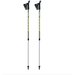 Kije nordic walking Ritmo Gabel - green