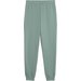Spodnie dresowe juniorskie Essentials Colour No. 1 Logo Puma - Green Moon