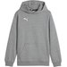 Bluza juniorska TeamGOAL Casuals Hoody Jr Puma - Medium Gray Heather-Puma White