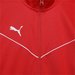 Bluza juniorska TeamRISE Training Poly Puma - Red