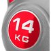 Hantla Kettlebell Style 14kg Gymtek