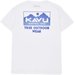 Koszulka męska True Gradient Tee KAVU - White