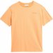 Koszulka męska OTHAW23TTSHM0858 Outhorn - pomarańcz