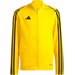 Bluza juniorska Tiro 23 League Training Adidas - żółty