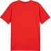 Koszulka męska teamGoal Casuals Tee Sport Puma - czerwona